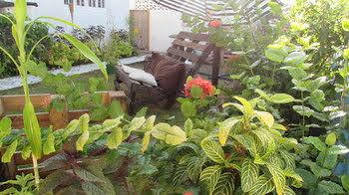 Rafjam Bed And Breakfast Kingston Exterior photo